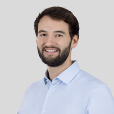 Weissner David Web