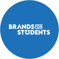 B4s Sticker Logo 50mm Blue (4)