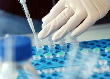 Praktikum, Jobs und Stellen bei F. Hoffmann-La Roche AG auf talendo