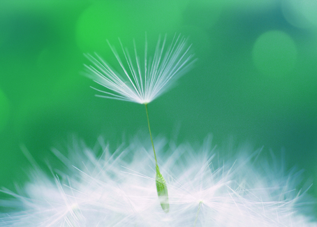 Praktikum, Jobs und Stellen bei JT International  auf talendo