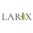 Larix Logo talendo